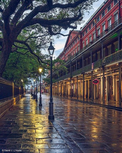 New Orleans Style, New Orleans Travel, French Quarter, Secret Garden, Louisiana, New Orleans, On Instagram, Instagram