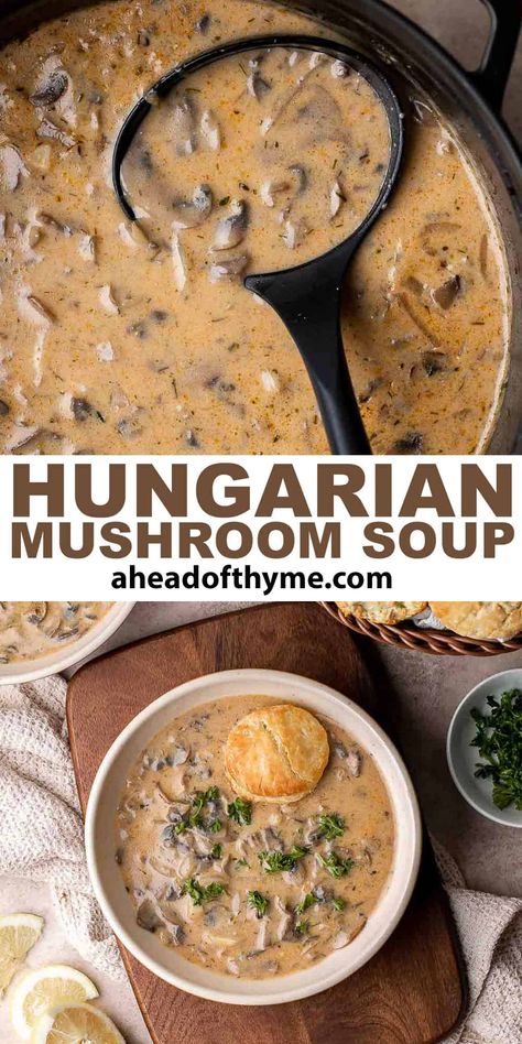 This rich, hearty Hungarian Mushroom Soup features a bounty of tender, earthy mushrooms in a perfectly seasoned, creamy broth. Plus, this nostalgic Hungarian recipe comes together in almost no time at all and is the perfect way to warm up on those cool nights. You just need a little crusty bread, a dollop of sour cream, and dinner is served! Mushroom soup is one of the most comforting types of soup. | aheadofthyme.com #hungarianmushroomsoup #mushroomsoup via @aheadofthyme Soul Warming Hungarian Mushroom Soup, Instant Pot Hungarian Mushroom Soup, Slovak Mushroom Soup Christmas Eve, Spicy Mushroom Soup, Ukrainian Mushroom Soup, Creamy Mushroom Soup Crockpot, Oyster Mushroom Soup Recipe, Mushroom Beef Soup, Best Mushroom Soup Recipes