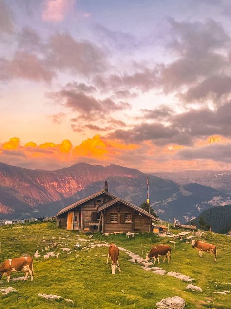 THE BEST HUT TO HUT HIKING IN SWITZERLAND Hiking In Switzerland, Switzerland Hikes, Switzerland Pictures, Swiss Alps Summer, Hiking Switzerland, Switzerland Aesthetic, Hut To Hut Hiking, Switzerland Destinations, Mountain Hut