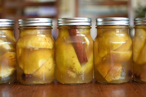 Honey Cinnamon Pears from Ball® Fresh Preserving Products Recipes For Pears, Ball Canning Recipes, Cinnamon Pears, Dehydrating Recipes, Pear Sorbet, Cinnamon Recipe, Canning Pears, Food In Jars, Mixed Berry Jam