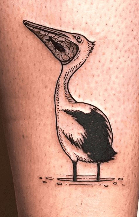 Pelican Tattoo Design Images (Pelican Ink Design Ideas) Pelican Tattoo For Women, Pelican Silhouette, Stork Tattoo, Pelican Drawing, Pelican Tattoo, Date Tattoos, Skeleton Tattoos, Art Body, Fairy Tattoo