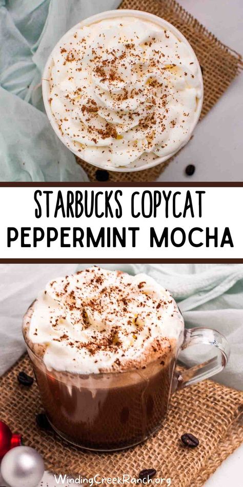 Looking for the perfect festive drink to make this season? Check out this Starbucks Peppermint Mocha recipe. It's easy to follow and will leave you with a delicious, wintery beverage that everyone will love! Starbucks Peppermint Mocha Recipe, Starbucks Drink At Home, Mocha At Home, Peppermint Mocha Recipe, Starbucks Peppermint Mocha, Cafe Vibes, Peppermint Syrup, Drink At Home, Mint Mocha