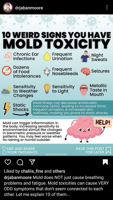 10 weird signs you have mold toxicity Mold Toxicity Symptoms, Mold Poisoning, Antidiuretic Hormone, Mold Symptoms, Nursing Art, Odd Symptoms, Headache Diet, Histamine Intolerance Symptoms, Alternative Medicine Holistic Healing