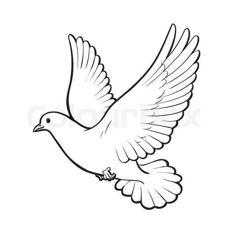 Stock vector of 'Free flying white dove, sketch style vector illustration isolated on white background. Realistic hand drawing of white dove, pigeon flapping wings, symbol of love, romance and innocence, marriage icon' Dove Outline Tattoo, Dove Sketches, White Dove Tattoos, Dove Outline, Bird Pencil Drawing, Dove Drawing, Dove Tattoo Design, Fly Drawing, Dove Tattoos