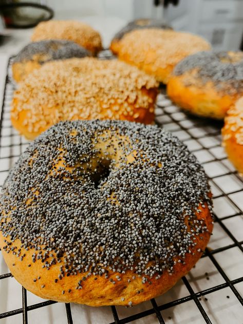 Sourdough Einkorn Bagels — Joyfull Wellness Einkorn Sourdough Bagels, Einkorn Bagels, Sourdough Einkorn, Sourdough Bagels, Overnight Recipes, Runny Eggs, Einkorn Flour, Breakfast Salad, Sourdough Baking