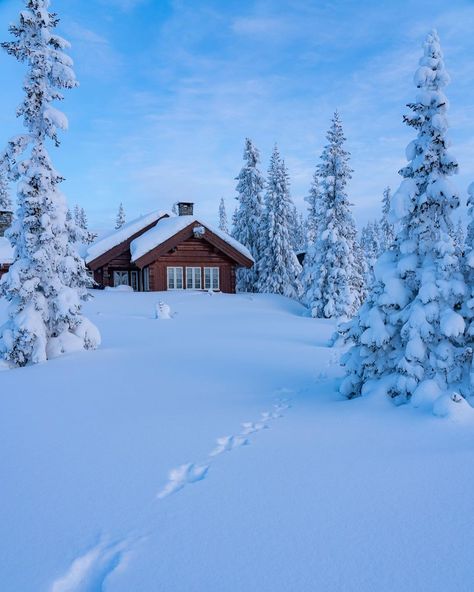 Winter in Norway 👌🏻 | Instagram Norway Cabin, Cozy Winter Cabin, Ecological House, Northern Lights Norway, Winter Cabin, Norway Travel, Winter Scenery, Cabin In The Woods, Cabin Life