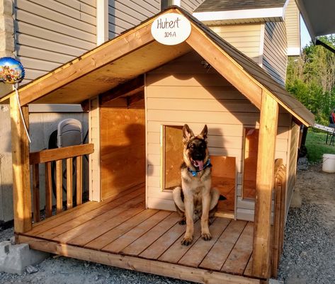 Creative Dog Houses Outdoor, Indoor Dog House For Big Dogs, Big Dog House Ideas, Big Dog House Outdoor Ideas, Easy Dog House Diy Outdoor, Dog House For 2 Dogs, How To Build A Dog House, Outside Dog Houses For Big Dogs, Dog Houses For Big Dogs