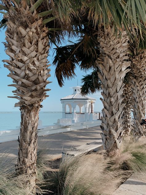 Nature, Corpus Christi Texas Aesthetic, Corpus Christi Beach, Summer Energy, Manta Rays, Corpus Christi Texas, Senior Trip, Corpus Christi Tx, Charm School