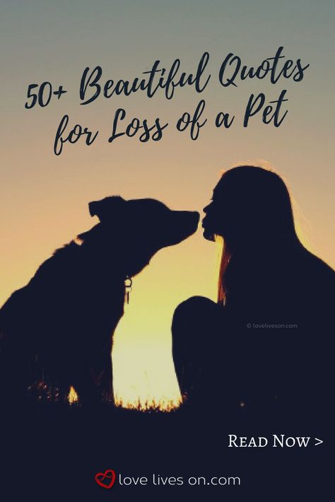 Pet Quotes Cat, Losing A Pet Quotes, Pet Quotes Dog, Pet Quotes, Dog Poems, Pet Sympathy Cards, Pet Bereavement, Dog Sympathy, Dog Heaven