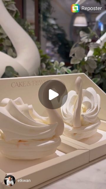 Swan Meringues, Meringue Swans, Edible Paint For Cakes, Meringue Piping, Cake Painting Tutorial, Meringue Shells, Grapefruit Marmalade, Pavlova Dessert, Meringue Pavlova