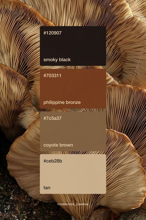 Mushroom Brown Color Palette, Espresso Brown Color Palette, Natural Colors Palette, Mushroom Colour Palette, Logo Color Palette Branding, Mushroom Color Palette, Black And Brown Color Palette, Mushroom Colors, Color Palette Brown