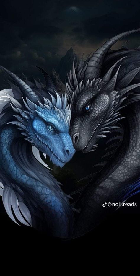 Fourth Wing Fan Art, Cool Dragon Pictures, Shadow Creatures, Snow Dragon, Dragon Dreaming, Mythical Creatures Fantasy, Dragon Artwork Fantasy, Cool Dragons, Dragon Decor