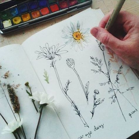 Hobby Aesthetic, Drawing Hobby, Botanical Sketchbook, Hufflepuff Aesthetic, Camille Styles, Nature Sketch, Hobbies To Try, Drawing Flowers, Nature Drawing