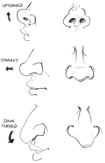 This series of “How to Draw Caricatures” tutorials are a just a small taste of a larger and much more in-depth book I wrote called The Mad Art of Caricature! The book is 175 full-color … How To Draw Caricatures, How To Draw Nose, Draw Nose, Cartoon Noses, Draw Caricatures, Caricature Tutorial, Animation Character Drawings, رسم كاريكاتير, Caricature Sketch