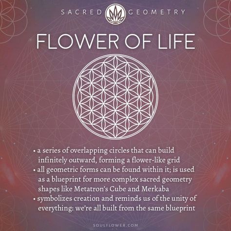 Flower Of Life Meaning, Sacred Geometry Meanings, Small Wave Tattoo, Energy Motivation, Flower Of Life Tattoo, Sacred Geometry Clothing, Life Meaning, Sacred Geometry Patterns, The Flower Of Life