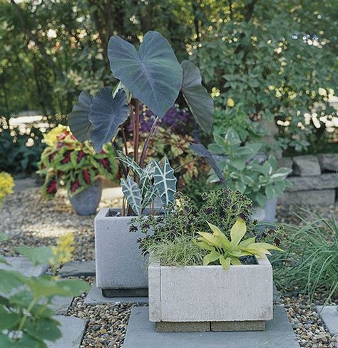 DIY Modern Concrete Planter Paver Planter, Diy Paver, Pavers Diy, Upcycled Planter, Concrete Containers, Flower Containers, Diy Concrete Planters, Gardening Projects, Modern Planter