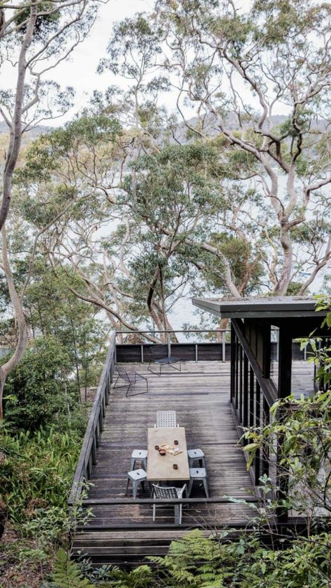 Bush House, Wooden Terrace, Cave Creek, Australian Bush, Wood Patio, Island House, Holiday House, Australian Homes, Beautiful Hotels