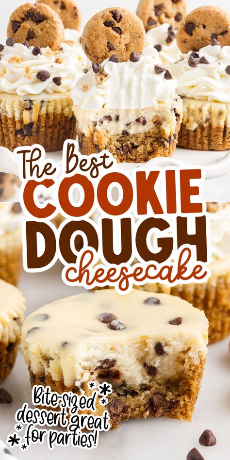 Chocolate Chip Cookie Dough Desserts, Cookie Recipes Cheesecake, Dessert With Cheesecake Pudding, Recipes With Cheesecake Filling, Store Bought Cookie Dough Recipes, Cookie Bottom Cheesecake, Vanilla Oreo Cheesecake, Chocolate Chip Cheesecake Bites, How To Decorate Cheesecake