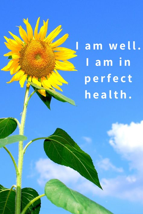 I Am Happy And Healthy, Perfect Health Affirmations, Healthy Affirmations, 100 Affirmations, Louise Hay Affirmations, Affirmations For Health, Vision Board Success, I Am Healthy, Body And Health