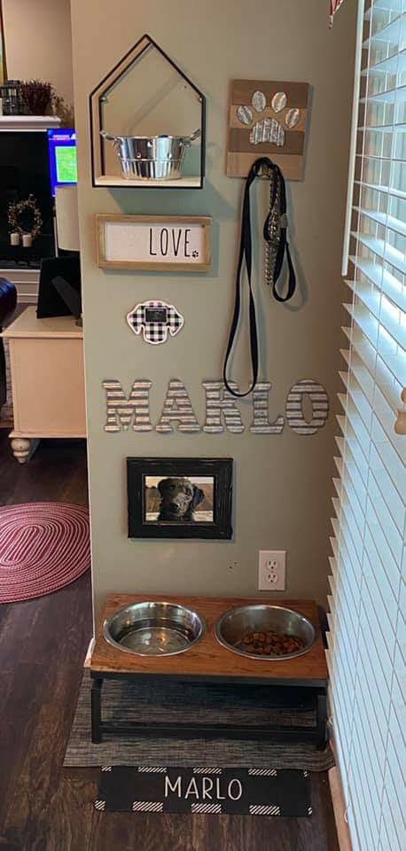 Dog Organizer Ideas, Dog Corner In Kitchen, Dog Home Ideas Indoor, Dog Set Up In Small Apartment, Dog Accessories Organization, Pet Eating Area, Dog Section In House, Dog Living Room Space, Small Dog Areas Inside