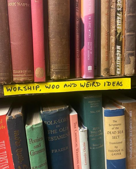 I found this in a random bookshop and i don’t think I’ve seen a better organising system #books #bookshop #aesthetic #darkacademia #academia #lightacademia #chaotic academia Chaotic Genius Aesthetic, Chaotic Acedima Aesthetic, Colorful Academia Aesthetic, Acedima Aesthetic, Bookshop Aesthetic, Colorful Academia, Chaotic Aesthetic, Chaotic Academia Aesthetic, Romanticising School