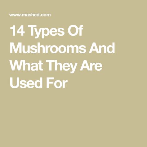 14 Types Of Mushrooms And What They Are Used For Different Kinds Of Mushrooms, Kinds Of Mushrooms, Different Types Of Mushrooms, Types Of Mushrooms, Marsala Sauce, White Button Mushrooms, Mushroom Varieties, Maitake Mushroom, Couple Cooking