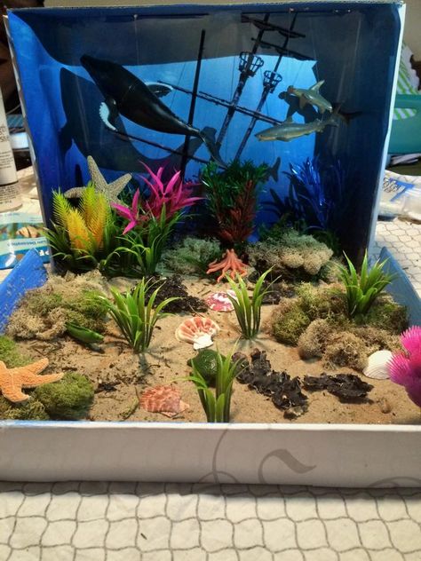 underwater diorama, ocean diorama, blue whale diorama, Marine Biome Shoebox Project, Marine Diorama Project, Ocean Diaroma, Sea Diaroma, Ocean Diorama Project Under The Sea, Bee Diorama, Whale Diorama, Shark Diorama School Projects, Axolotl Diorama