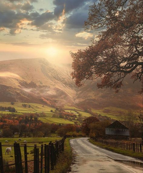 Sunrise in the Lake District of the U.K 🇬🇧😍 Visting England in the fall is highly underrated as most people opt for the summer months which is high tourist season. What are your guys fall travel plans? ⬇️ 📸: @danvisualarts Follow ➡️ @allpeaksco #allpeaks #followadventure #outdoors #nature #adventure #photography #hiking #travel #naturephotography #explore #landscape #mountains #camping #outdoor #naturelovers #outside #wanderlust #getoutside #wildlife #beautiful #landscapephotography #forest England Aesthetic, Lake District England, England Countryside, Lake District National Park, Landscaping Images, English Countryside, Cumbria, Country Road, Lake District