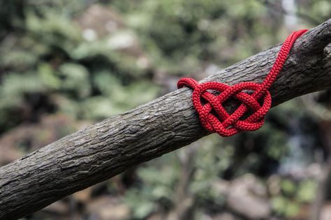 Your health begins with your heart: a 14 day challenge by farmwyfe.com Paracord Bracelet Patterns, Survival Knots, Paracord Bracelet Diy, Heart Knot, Talk About Love, Heart Pictures, It Gets Better, Paracord Bracelets, Business Coach