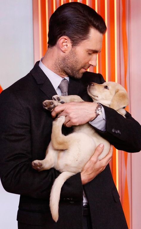 Adam Levine holding a Yellow Lab puppy?!  Does it get any cuter than this??? Holding Puppy, Andy Garcia, Clive Owen, Jeffrey Dean Morgan, Gerard Butler, Adam Levine, Maroon 5, A Puppy, Robert Downey Jr