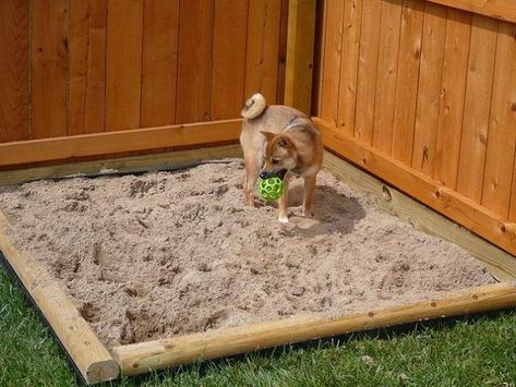 DYI Dog Yard Sand Box - Great for the dog that loves to dig! | eHow... think I should do this for tanker Dog Friendly Backyard, Digging Dogs, Dog Backyard, Muddy Dog, Sand Pit, Dog Yard, Dog Playground, Dog Potty, Dog Area