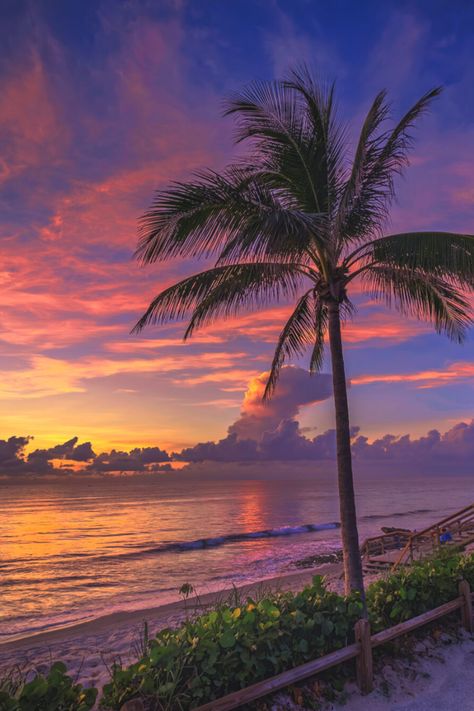 https://captainkimo.com/coconut-dreams-serenity-at-coral-cove-park-tequesta-fl/ Sunrise Florida, Stay Salty, Pretty Nature, Jupiter Florida, Florida Photography, Beautiful Ocean Pictures, Ocean Pictures, Cool Wallpapers For Phones, Pretty Landscapes