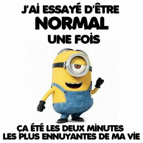 Minion Smile, Unlimited Data, Mind Blown, First Year, Anime Funny, 1 Year, Funny Quotes, The First, Humor