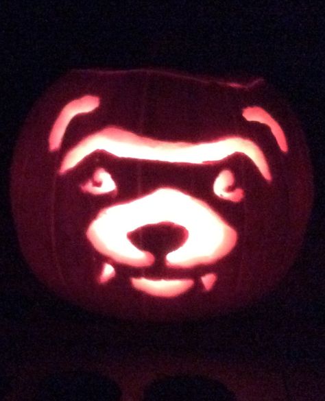 Pumpkin Idea, Decorated Pumpkins, Autumn Diy, Pumpkin Carving Ideas, Carving Ideas, Fall And Halloween, Ferret, Holidays Halloween, Pumpkin Carving