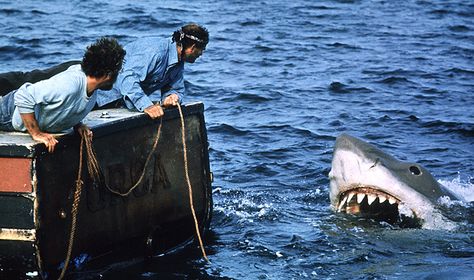 Jaws, 1975 Talia Shire, Peter Finch, Clarice Starling, Robert Shaw, Shark Tale, Ryan O'neal, Richard Dreyfuss, Jaws Movie, Linda Blair