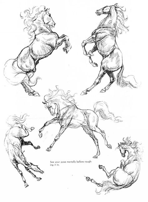 Horse Concept Art, Horse Illustration Art, Horse Draw, Horse Drawing Tutorial, Horse Art Drawing, Horse Sketch, Horse Anatomy, Learning To Draw, Horse Illustration