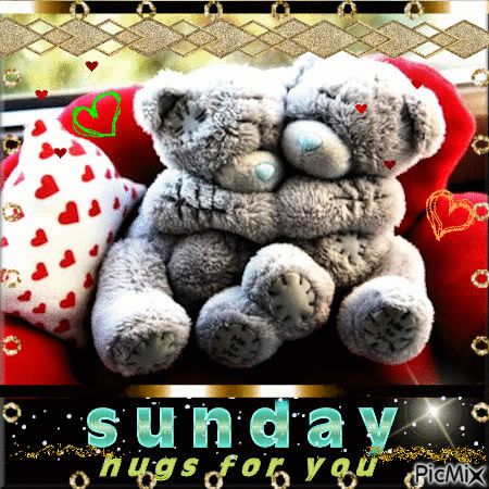 Sunday Hugs, Happy Teddy Bear Day, Saturday Greetings, Bear Songs, Happy Sunday Morning, Teddy Bear Day, Teddy Bear Images, Blue Nose Friends, Teddy Day