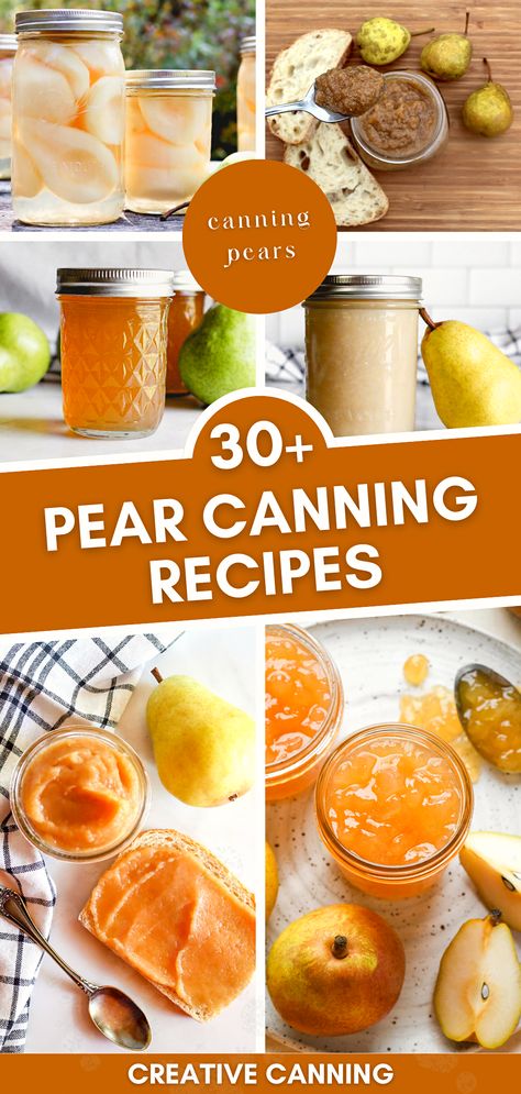 Delight in the sweet goodness of pears all year long with our collection of canning fruit recipes. From pear sauce to pear butter, explore 30+ pear canning recipes that bring out the best of this juicy fruit. Perfect your preserving pears technique and start canning pears! Canning Fresh Pears, Canning Pear Sauce, Pear Preservation Recipes, Recipes For Canning Pears, How To Cook Pears, Things To Do With Pears, How To Preserve Pears, What To Do With Pears Recipes, Pear Preserving