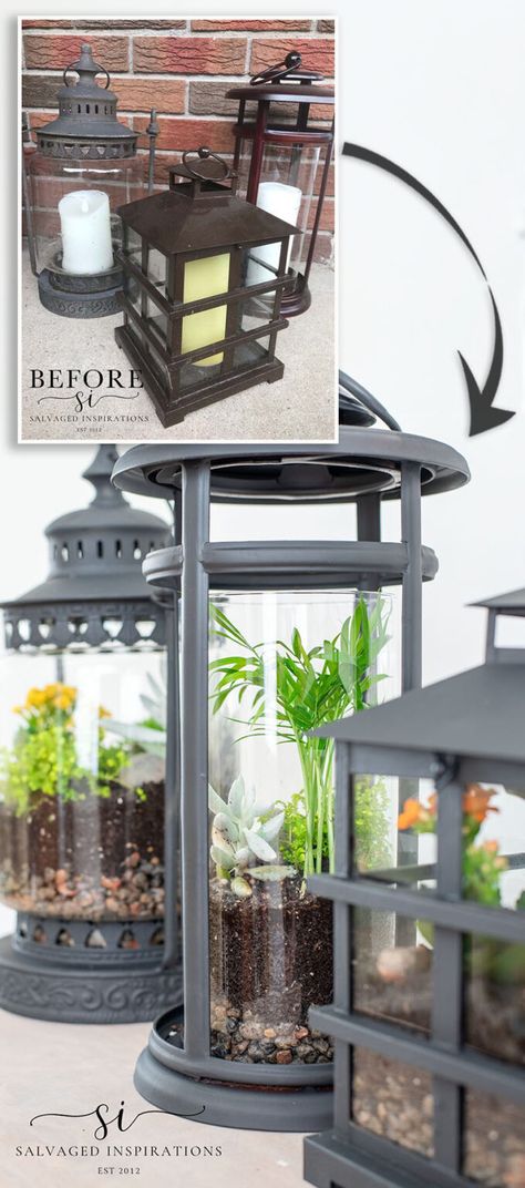 How To Make An EASY DIY Terrarium - Salvaged Inspirations Lantern Terrarium, Make A Terrarium, Thrift Decor, Plant In Glass, Salvaged Inspirations, Furniture Painting Tips, Upcycled Decor, Deck Balcony, Diy Terrarium