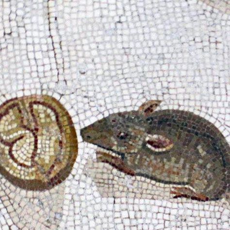 Museum of Artifacts on Instagram: "Roman mosaic of a little mouse eating a nut; Vatican Museums. Dated back to reign of Hadrian 117-138 A.D. Made with an extremely arduous and precise method: opus vermiculatum, where the artist managed to introduce shading, which gives a beautiful effect of realism." Opus Vermiculatum, Mouse Eating, Roman Mosaic, Light Film, Vatican Museums, Light Art, Realism, Reign, Artifacts