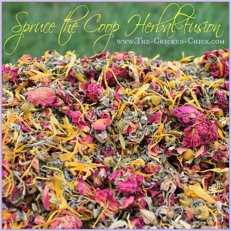 I chose the herbs for my chicken coop nest box fusion, based upon their safety, aromatic properties and/or ability to repel pests. "Through an insect's acute sense of smell, these strong smelling herbs make it overwhelmingly unpleasant for many insects and so then work as a repellent. Chicken Coop Bedding, Herbs For Chickens, Brooder Box, Shade Grass, Chicken Tractors, Nest Box, Chicken Health, Worm Composting, Chicken Chick