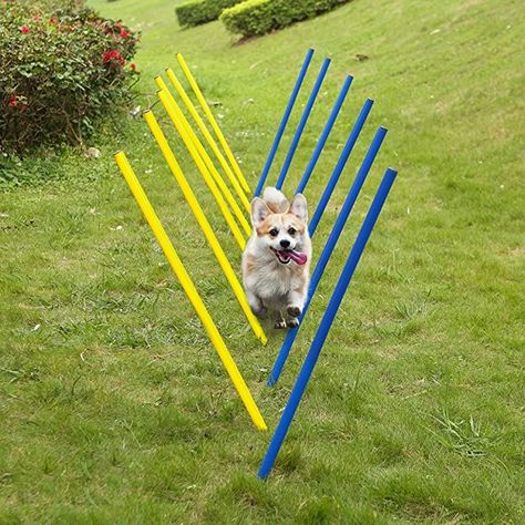 Dog agility - is your dog so clever??? Dog Obstacle Course, Dog Agility Equipment, Dog Agility Training, Agility Training For Dogs, Agility Training, Training Kit, Exercise Equipment, Dog Agility, Sporting Dogs