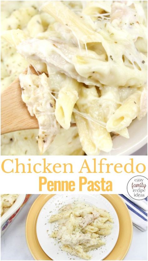 Chicken Alfredo Stovetop, Costco Chicken Alfredo Recipe, Prego Chicken Alfredo Recipe, Easy Chicken Alfredo Recipe Simple, How To Make Chicken Alfredo, Cream Cheese Chicken Alfredo, Penne Pasta Alfredo, Easy Chicken Alfredo Bake, Ziti Chicken