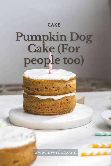 Dog Friendly Pumpkin Cake, Dog Safe Cake Recipe Pumpkin, Dog Cake With Pumpkin, Dog Birthday Breakfast, Dog Pumpkin Recipes, Peanut Butter Pumpkin Dog Cake, Dog Cake Recipe Easy Pumpkin, Pupcakes Dog Easy Pumpkin, How To Make A Cake For A Dog