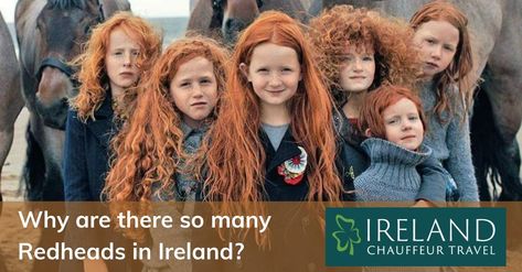 November 5th is National Redhead Day, and it’s every redhead’s chance to celebrate their unique hair color - Did you know that only 1 - 2% of the world's population has this gorgeous color hair? About 10% of the Irish population has red hair - the highest incidence of it in the world! Redheads are often described as “fiery” and “hot-tempered” - Are the stereotypes true? and why are there so many redheads in Ireland?! Read on to find out why... Irish Red Hair, National Redhead Day, Unique Hair Color, Irish Redhead, Redhead Day, Gangs Of New York, Hair Color Unique, Natural Redhead, World Population