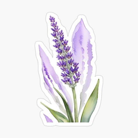 Get my art printed on awesome products. Support me at Redbubble #RBandME: https://www.redbubble.com/i/sticker/Lavender-Watercolour-Flower-In-a-Lavender-Haze-by-Duck-DuckGoose/164297048.EJUG5?asc=u Lavender Stickers Aesthetic, Lavanda Aesthetic, Purple Aesthetic Stickers, Lavender Watercolour, Lavender Icon, Purple Stickers, Watercolour Flower, Lavender Haze, Flower Stickers