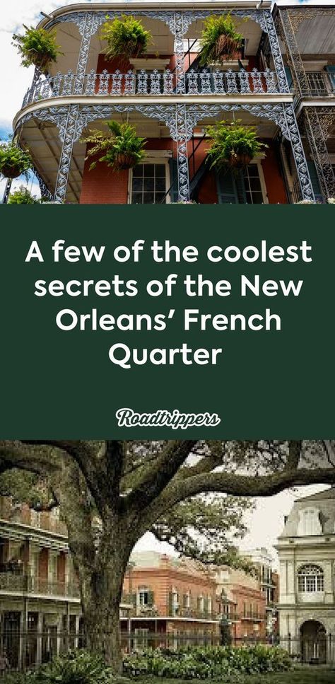 French Quarter Outfit, New Orleans Aesthetic French Quarter, New Orleans Halloween, Nola Trip, New Orleans Christmas, New Orleans Travel Guide, Traveling Family, French Quarter New Orleans, New Orleans Vacation