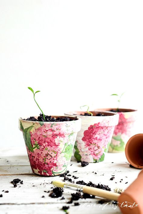 Decoupaged Terra Cotta Pots-19 Cheap Flower Pots, Rope Projects, نباتات منزلية, Planting Pots, Large Flower Pots, Plastic Flower Pots, Diy Plant Stand, Plastic Planters, Plastic Flowers