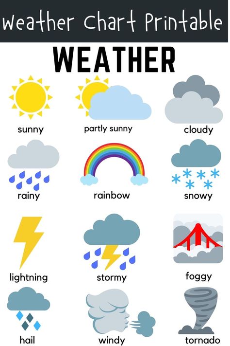 Weather Poster, Weather For Kids, Weather Activities Preschool, Weather Activities For Kids, Preschool Charts, Preschool Weather, Teach English To Kids, English For Kids, Weather Chart