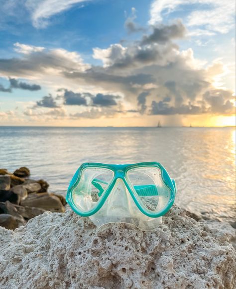 Snorkeling at key west fl. Beach vibes aesthetic. Sunset swimming. Sunset aesthetic. Island lifestyle. Hawaii aesthetic. Surfer aesthetic. Bikini aesthetic. Diving masks. Snorkeling masks. Mint green goggle mask. Blue snorkeling mask. Scuba Goggles Aesthetic, Swimming Goggles Aesthetic, Gear Aesthetic, Goggles Aesthetic, Snorkel Goggles, Snorkeling Goggles, Sunset Swimming, Goggles Swim, Snorkel Gear